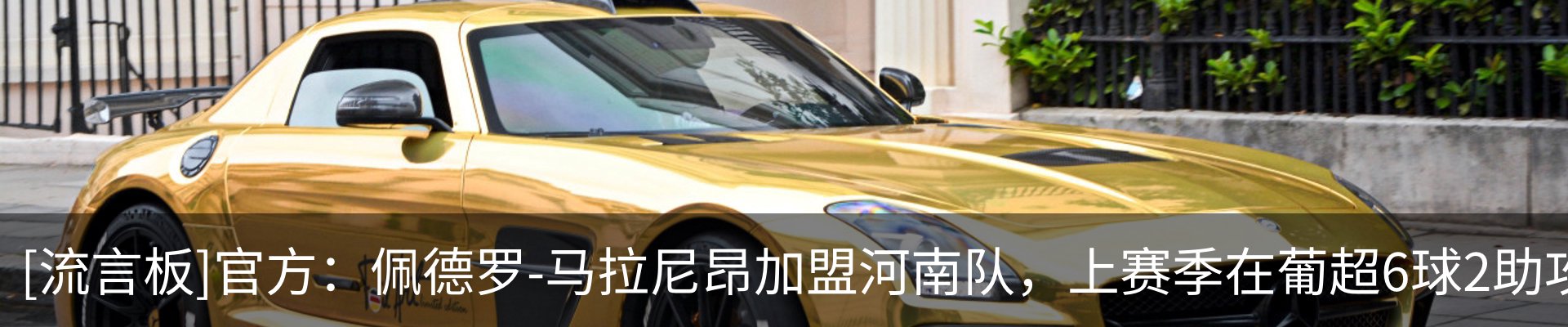 资讯动态
